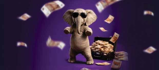 100 слонов за 100 квадратных метров